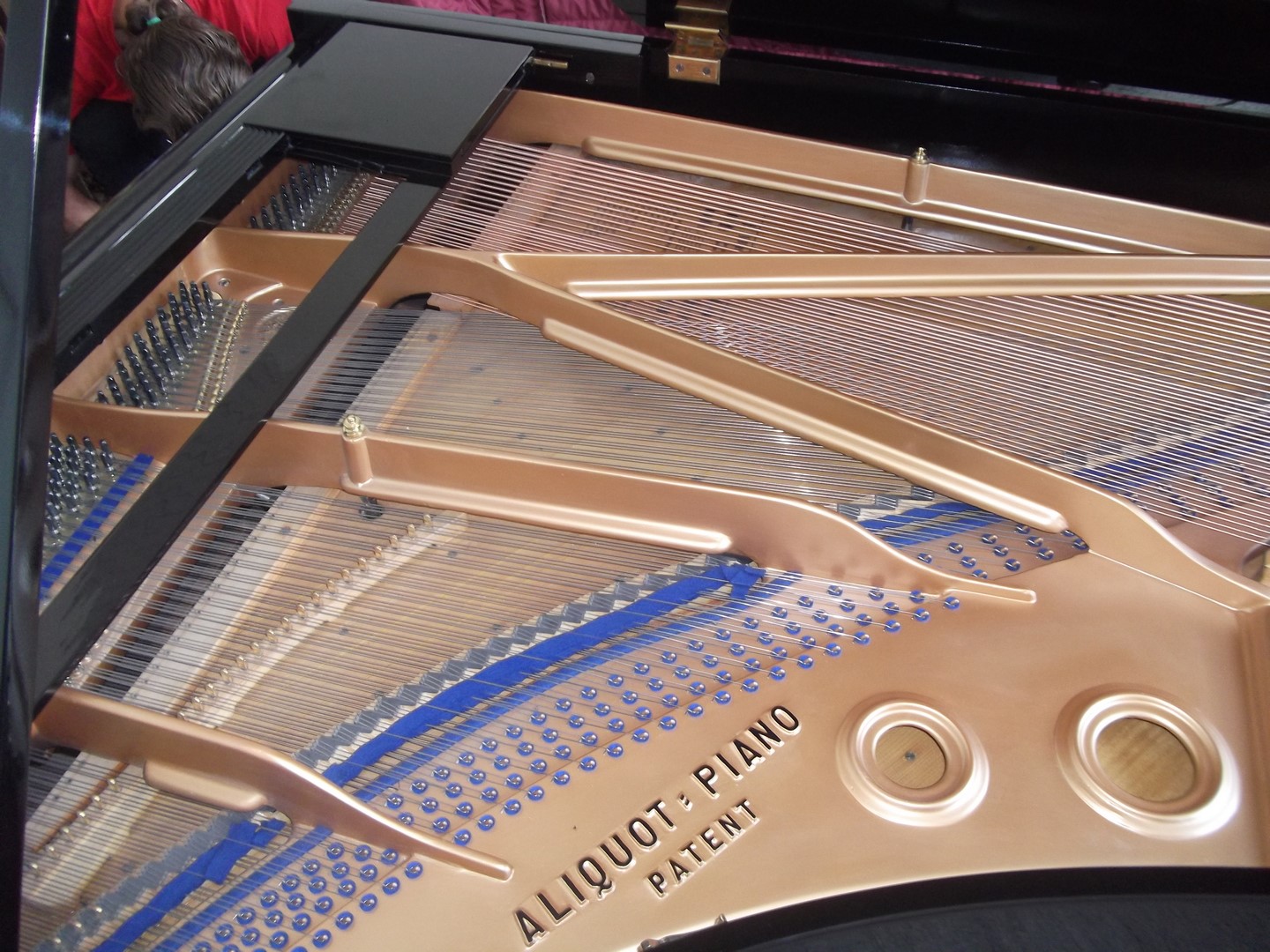 Piano Tuner Technician — Photos 6